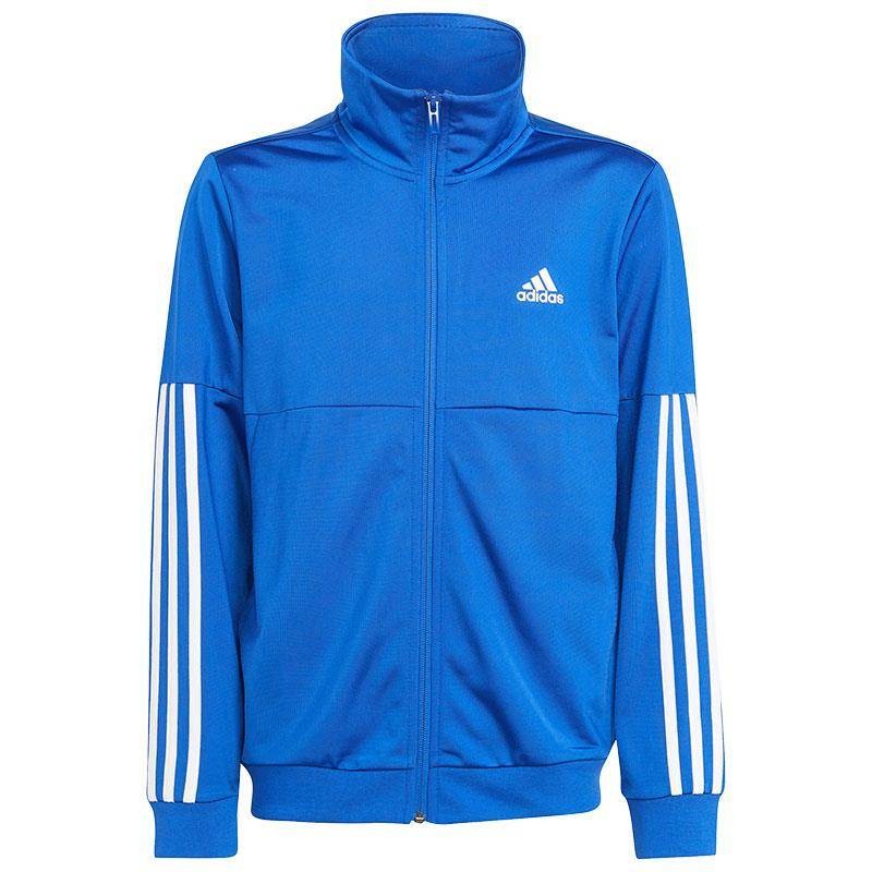 adidas Chándal Team 3 Bandas Azul Junior | Totalsport.es Deporte Training  Color Azul Genero JUNIOR TALLA TEXTIL 5-6 años